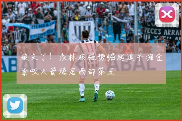 狼来了！森林狼强势崛起追平掘金紧咬火箭稳居西部第五